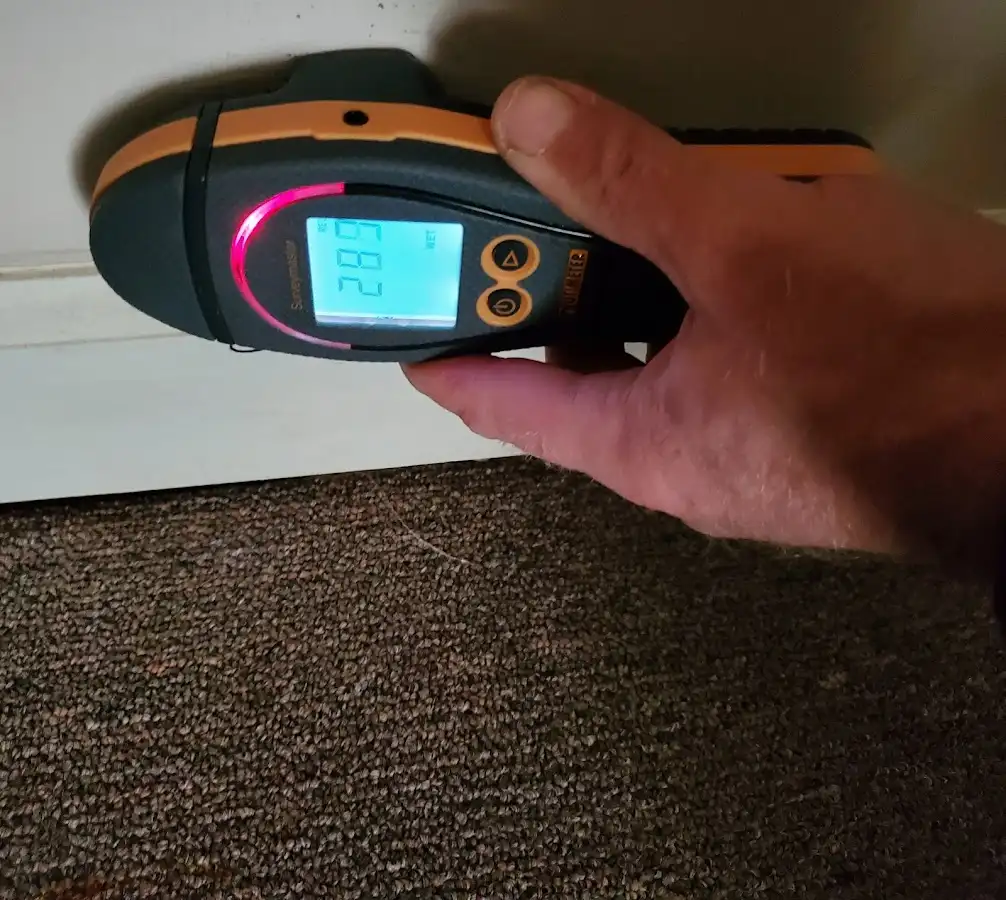 Moisture detection at baseboard during Sewage Cleanup & Sanitation in Woodstock
